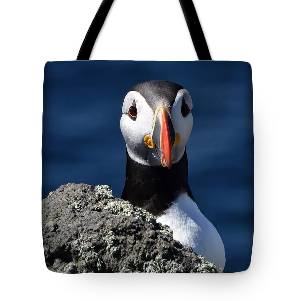 Puffin Tote Bag featuring the photograph Atlantic Puffin #2 by Kuni Photography