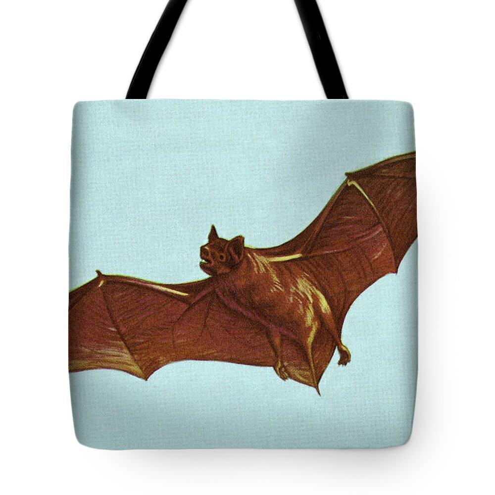 Animal Tote Bag featuring the drawing Bat Flying #2 by CSA Images