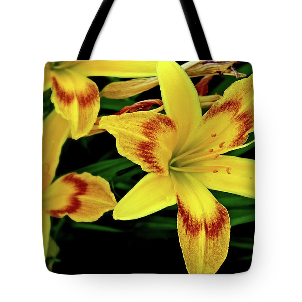 Flowers Tote Bag featuring the photograph Blooms #2 by George Taylor