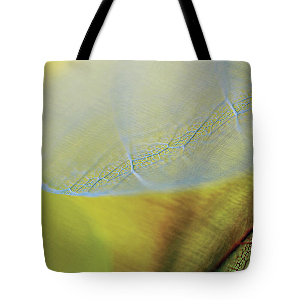 Natural Pattern Tote Bag featuring the photograph Close-up Of A Dried Leaf Vein #2 by Glowimages