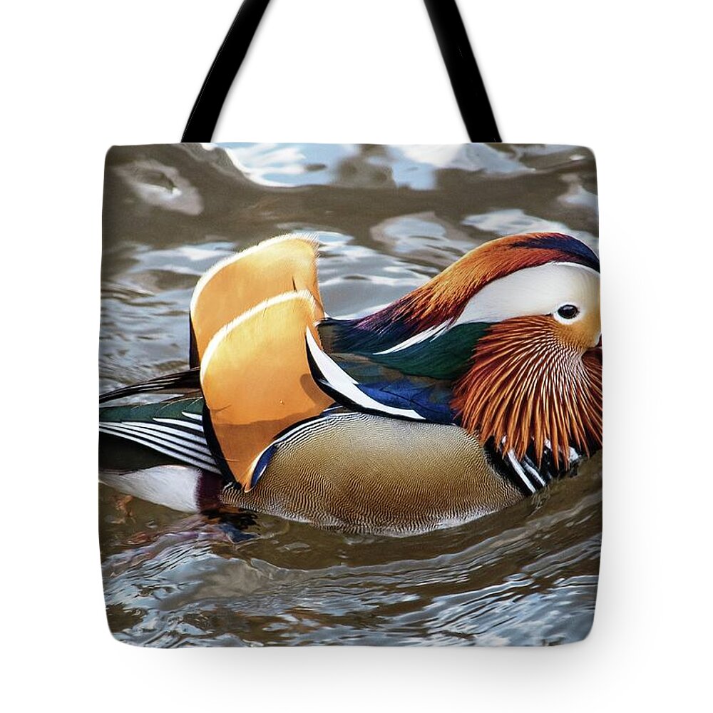Central Park NYC Tote Bag