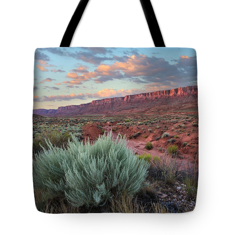 00574877 Tote Bag featuring the photograph Desert And Cliffs, Vermilion Cliffs Nm by Tim Fitzharris