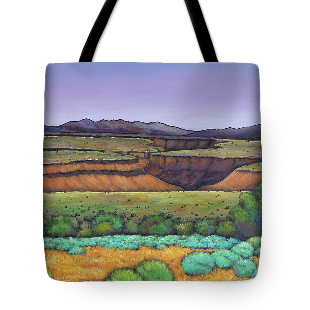 New Mexico Tote Bag featuring the painting Desert Gorge by Johnathan Harris