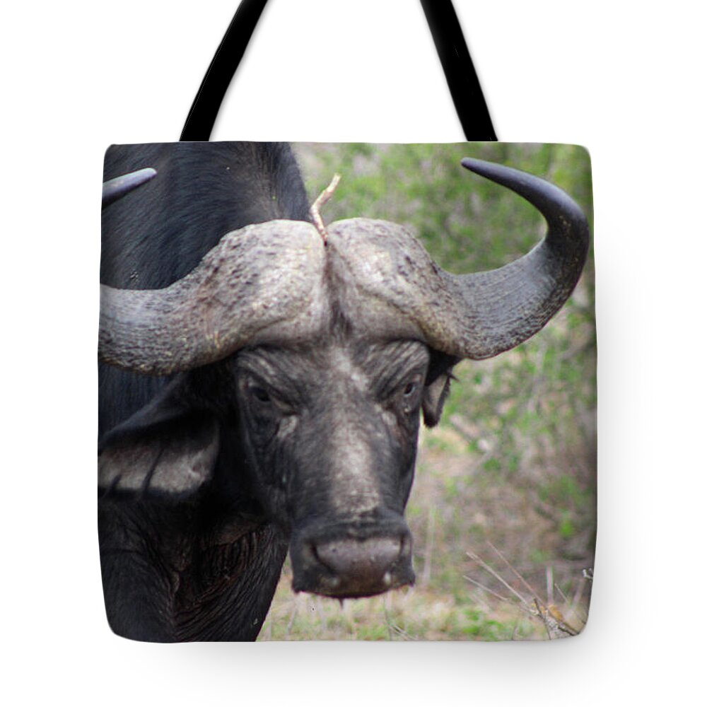  Tote Bag featuring the photograph 2 by Eric Pengelly