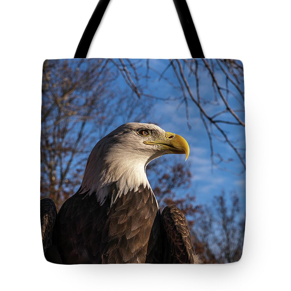 Eagle Tote Bag featuring the photograph Evening Light #1 by Laura Hedien