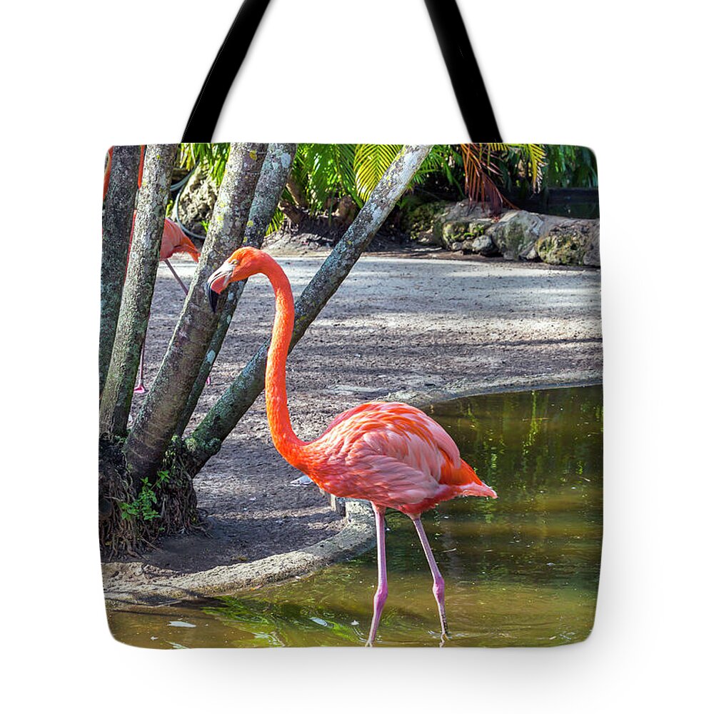 Estock Tote Bag featuring the digital art Flamingo Gardens, Davie, Fl #2 by Lumiere