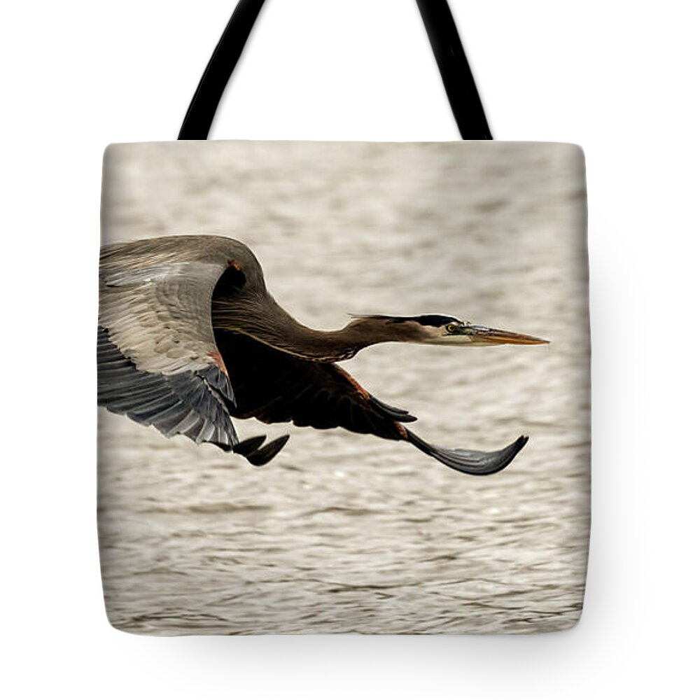 Great Blue Heron Tote Bag featuring the photograph Great Blue Heron #2 by Sam Rino
