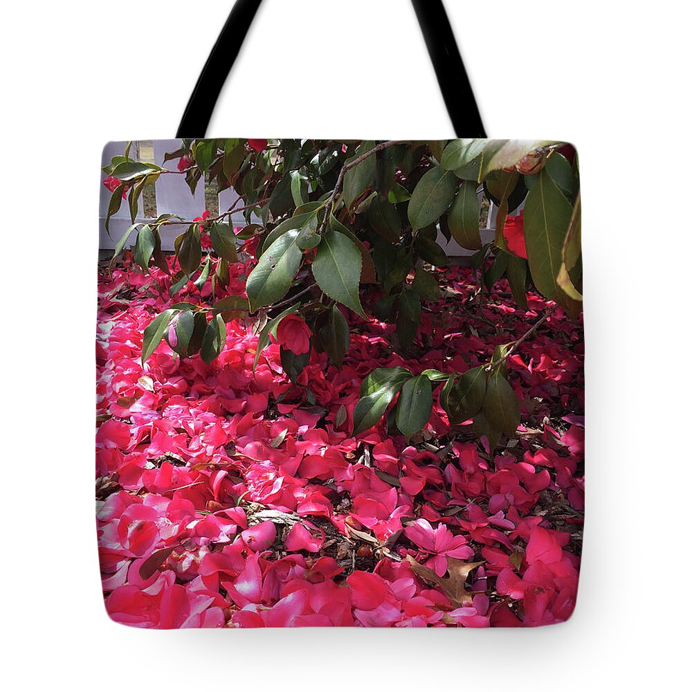 Pink Tote Bag featuring the photograph Heaven Sent #2 by Matthew Seufer