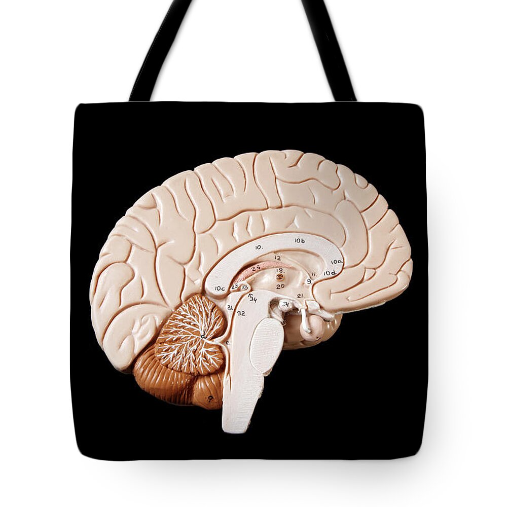 Black Background Tote Bag featuring the photograph Human Brain #2 by Richard Newstead