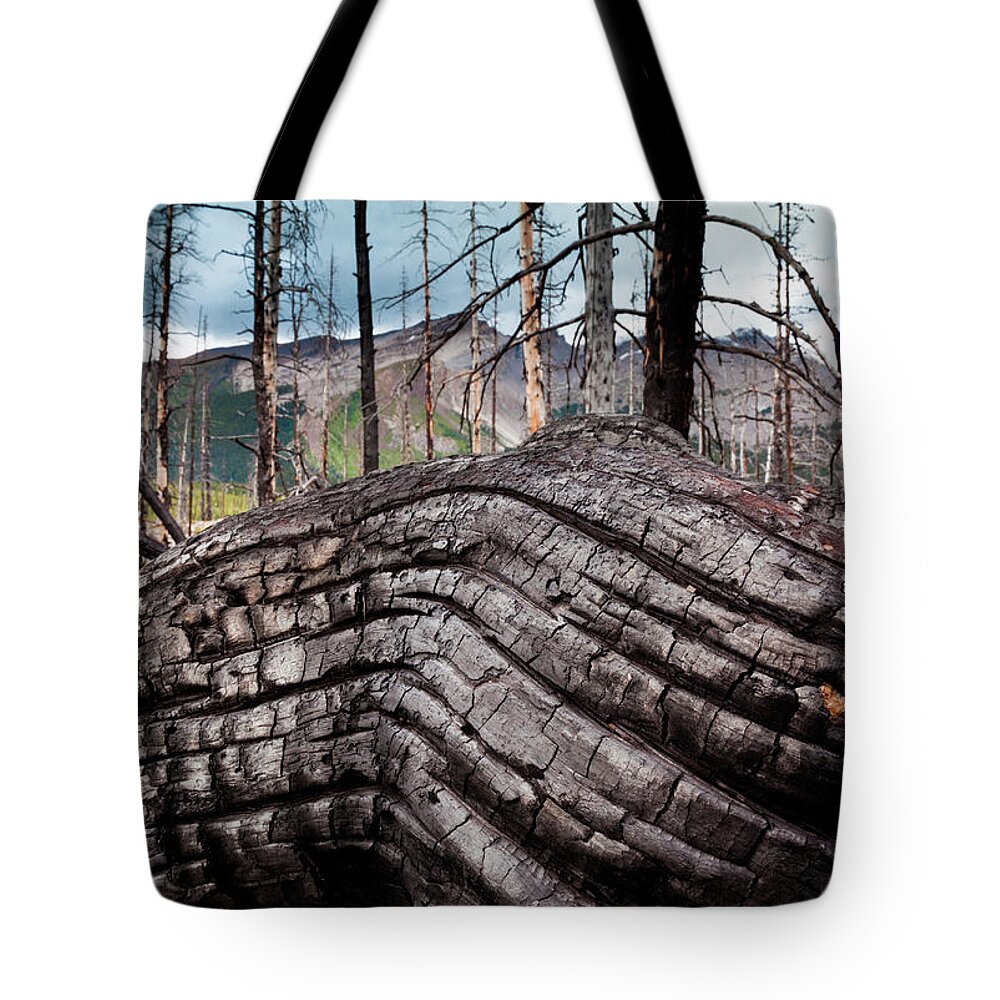 Material Tote Bag featuring the photograph Jasper National Park, Alberta, Canada #2 by Mint Images/ Art Wolfe