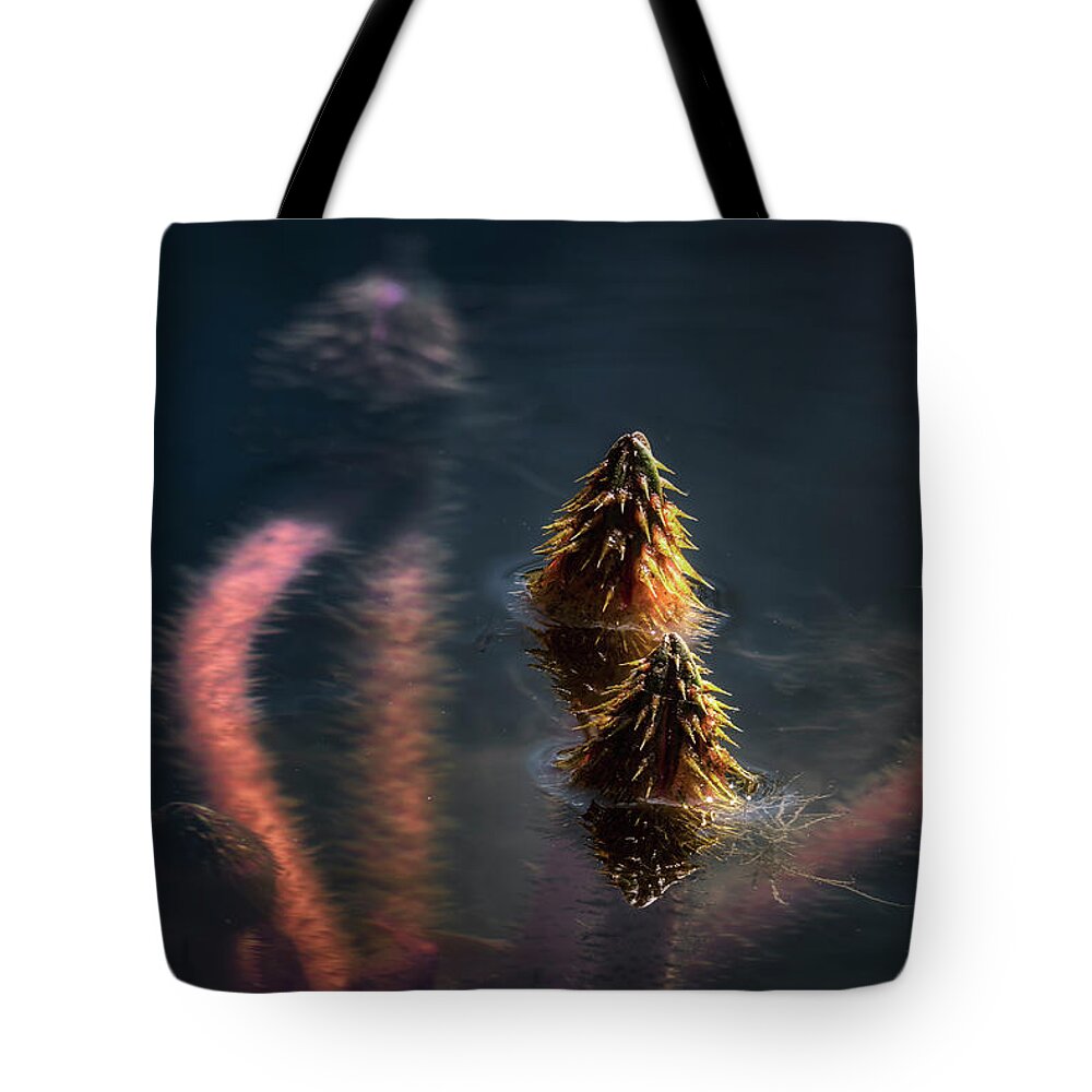 Water Lily Tote Bag featuring the photograph On The Rise #2 by Robert Fawcett