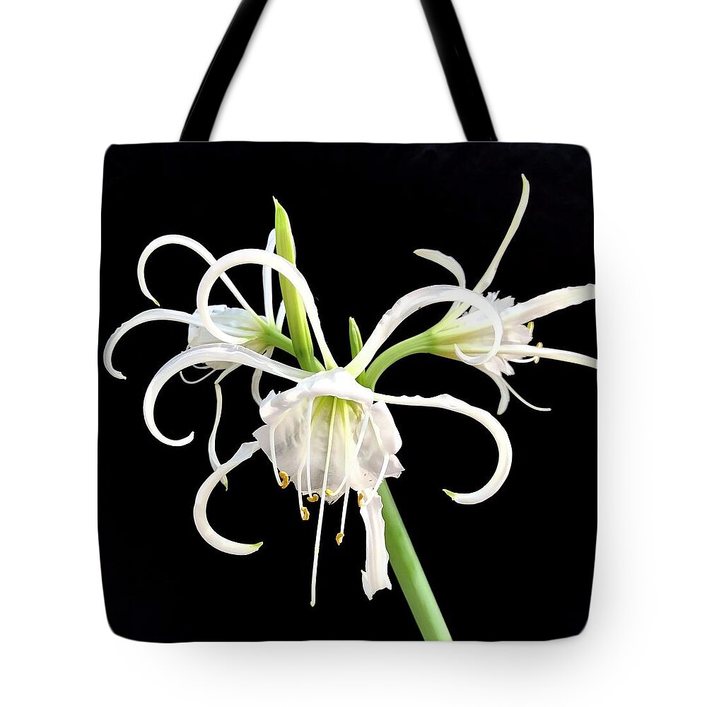 Flower Tote Bag featuring the photograph Peruvian Daffodil #2 by Gini Moore