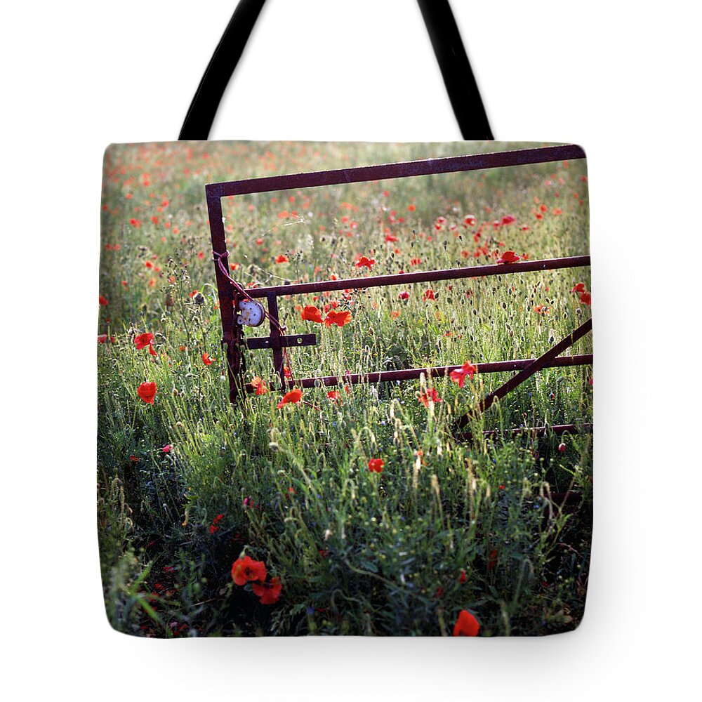 Britain Tote Bag featuring the photograph Poppy field #2 by Seeables Visual Arts