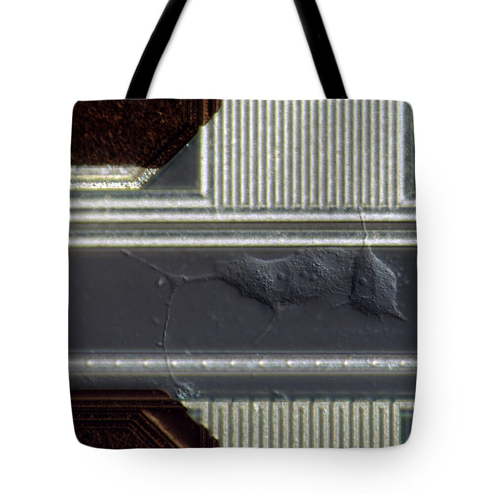 Axon Tote Bag featuring the photograph Sem Of Nerve Cells On A Silicon Chip #2 by Meckes/ottawa