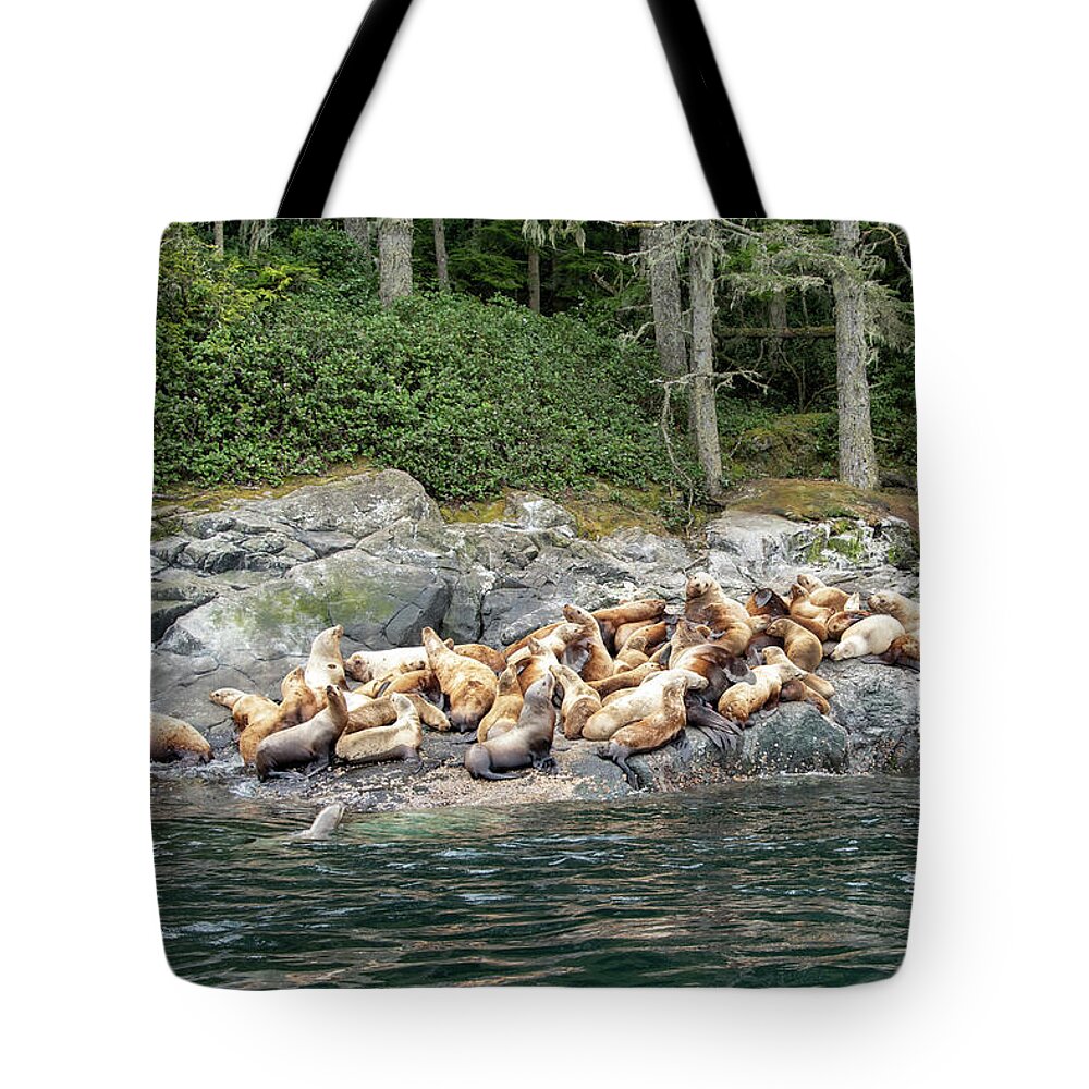British Columbia Tote Bag featuring the photograph Steller Sea Lion by Canadart -