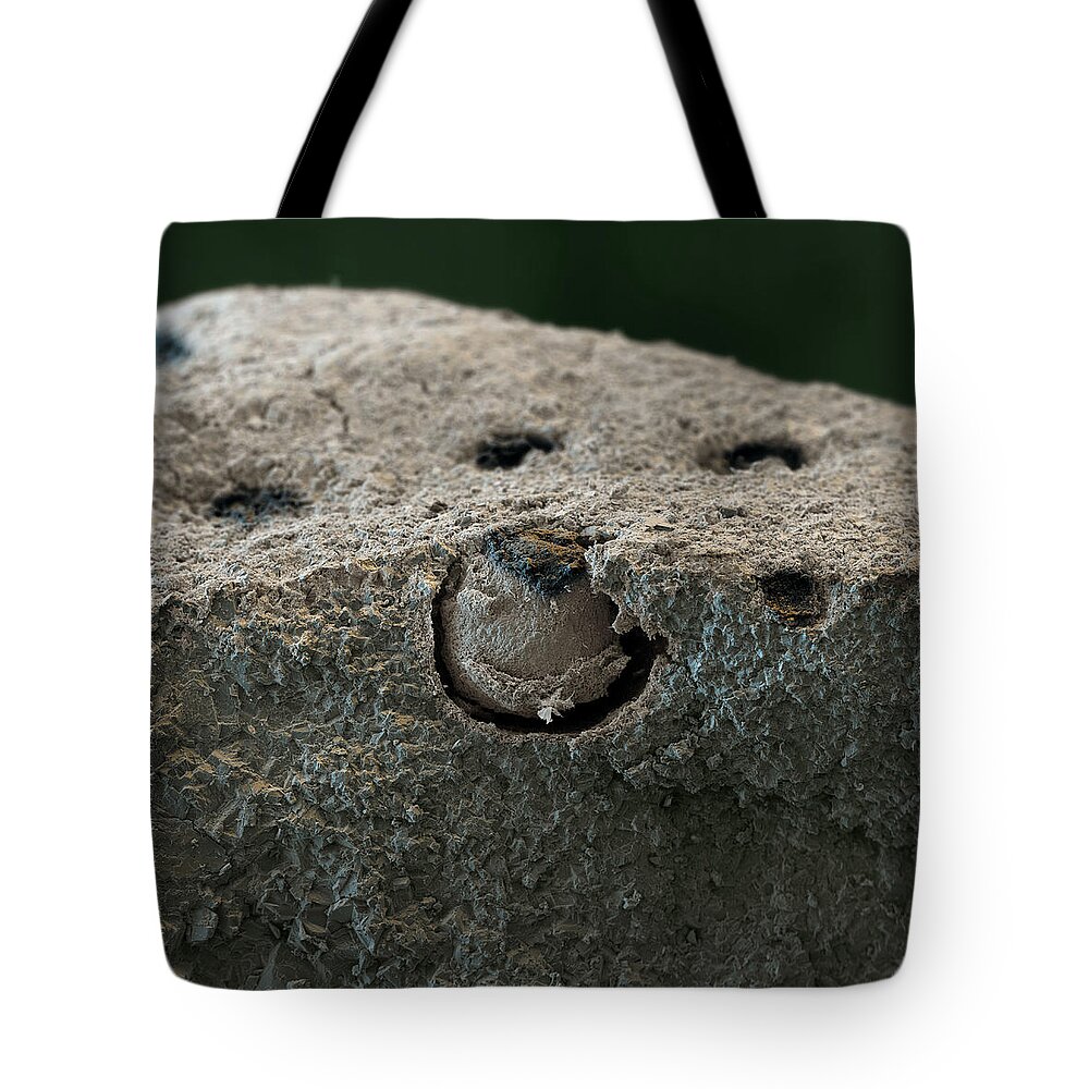 Algae Tote Bag featuring the photograph Tar Lichen #2 by Meckes/ottawa