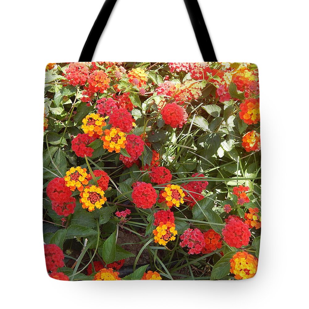 Tree Tote Bag featuring the photograph Texture nature tree flowers #2 by Oleg Prokopenko