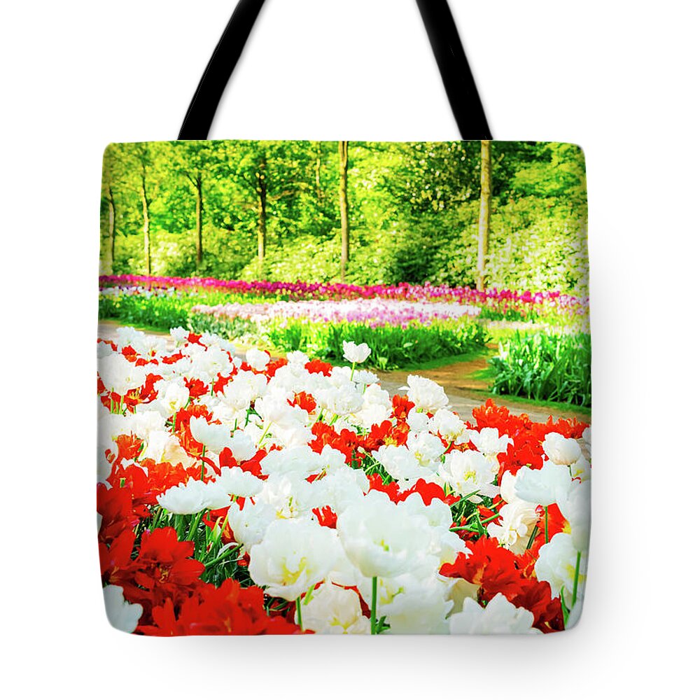 Netherlands Tote Bag featuring the photograph Tulips Garden #1 by Anastasy Yarmolovich