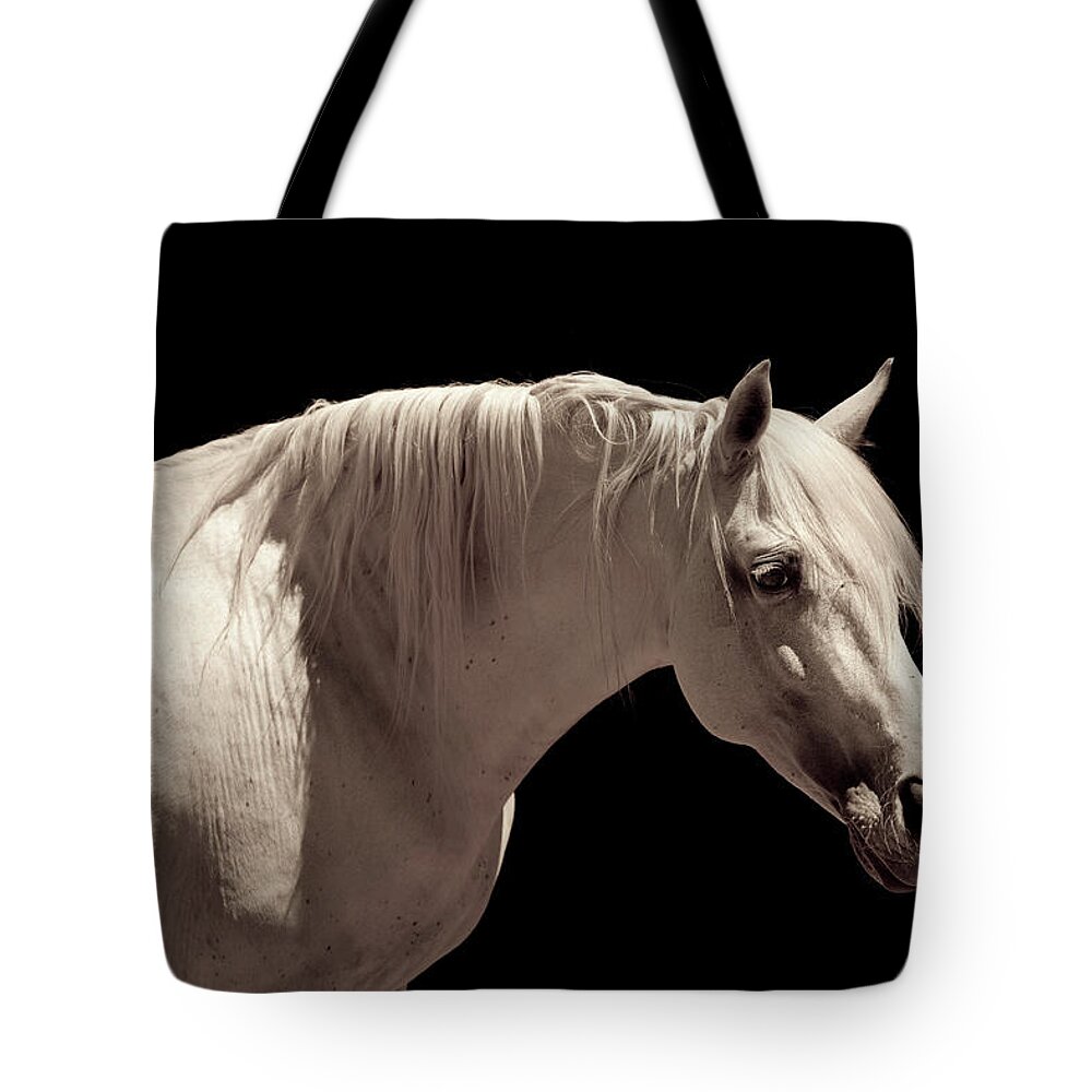 Horse Tote Bag featuring the photograph White Stallion Horse Andalusian #2 by 66north
