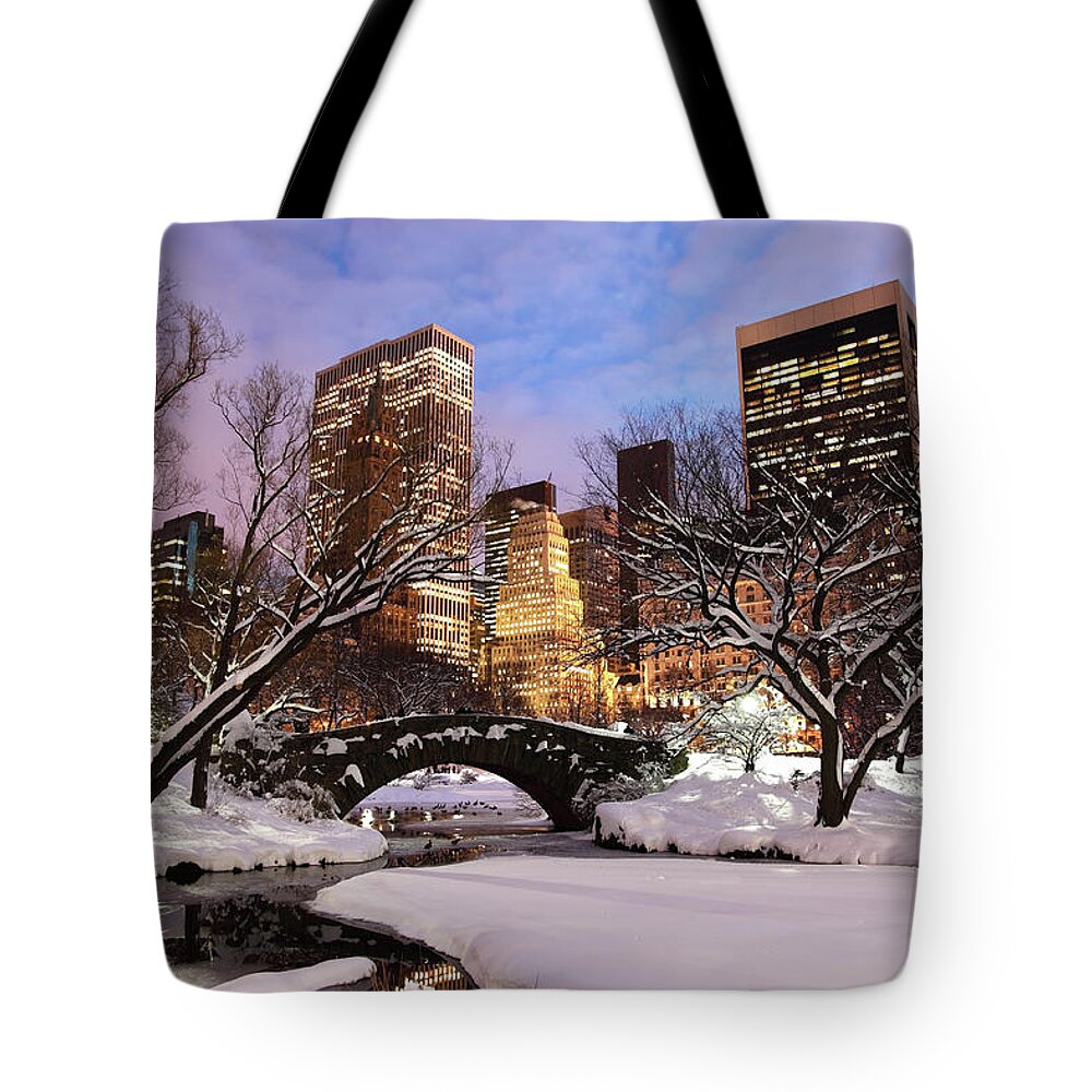 Snow Tote Bag featuring the photograph Winter In New York City #2 by Denistangneyjr