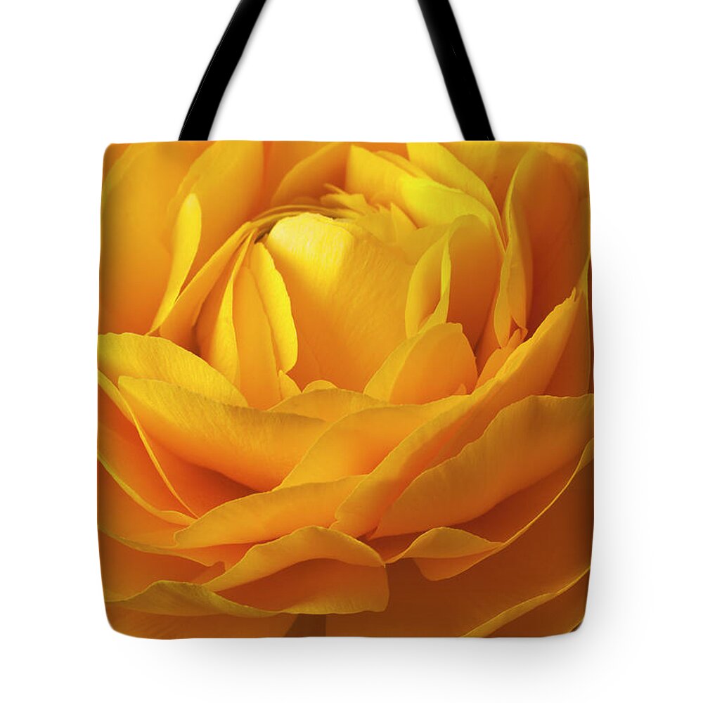 Petal Tote Bag featuring the photograph Yellow Ranunculus #2 by Garry Gay