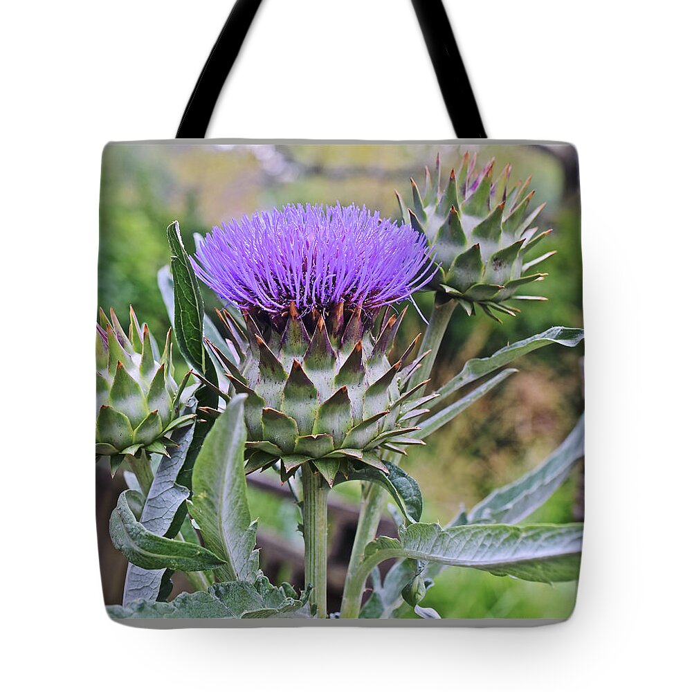 Thistle Tote Bag featuring the photograph 2019 August at the Gardens Thistle by Janis Senungetuk