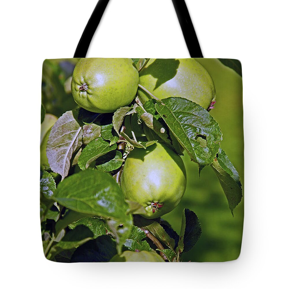 Lancashire Tote Bag featuring the photograph 21/07/14 CHORLEY. Astley Hall. by Lachlan Main