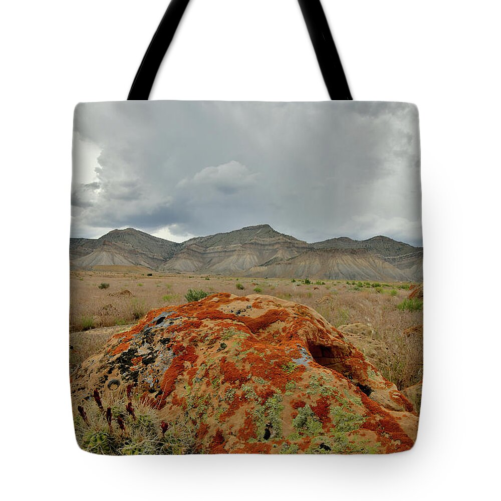 Colorado Tote Bag featuring the photograph Book Cliff Boulders #3 by Ray Mathis