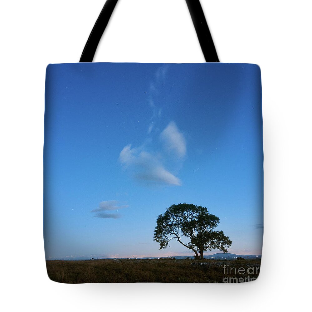 Malham Tote Bag featuring the photograph Lonely Tree on the Limestone Pavement #3 by Mariusz Talarek