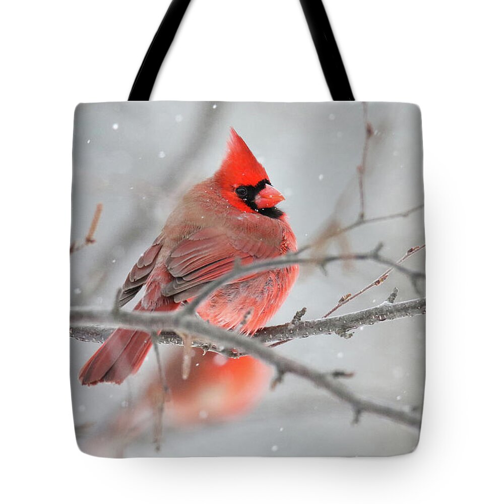 Cardinal Tote Bag featuring the photograph Snowy Cardinal by Brook Burling