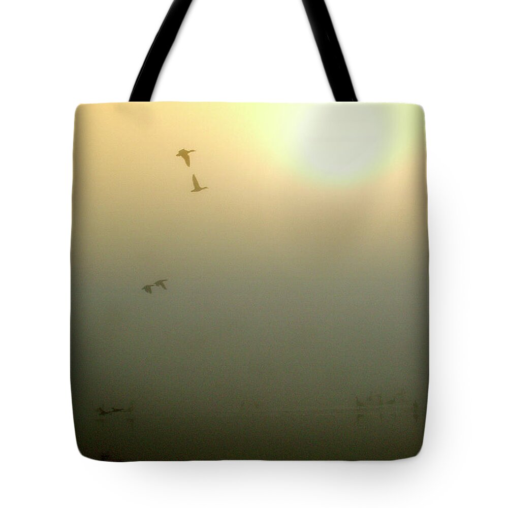  Tote Bag featuring the photograph Taking Wing #3 by Rein Nomm