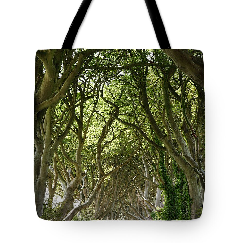 Tranquility Tote Bag featuring the photograph United Kingdom, Northern Ireland #3 by Westend61