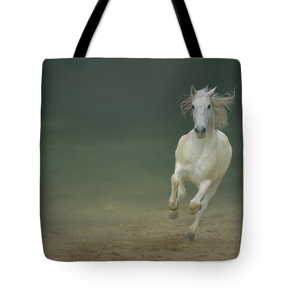 Dust Tote Bag featuring the photograph White Horse Galloping #3 by Christiana Stawski