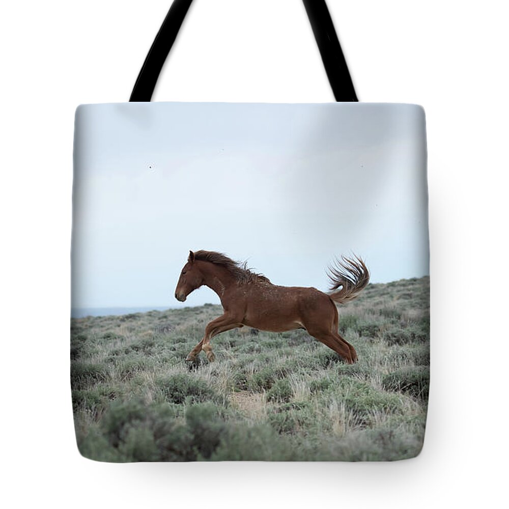 Wyoming Tote Bag featuring the photograph Wyoming Wild Horses #5 by Patrick Nowotny