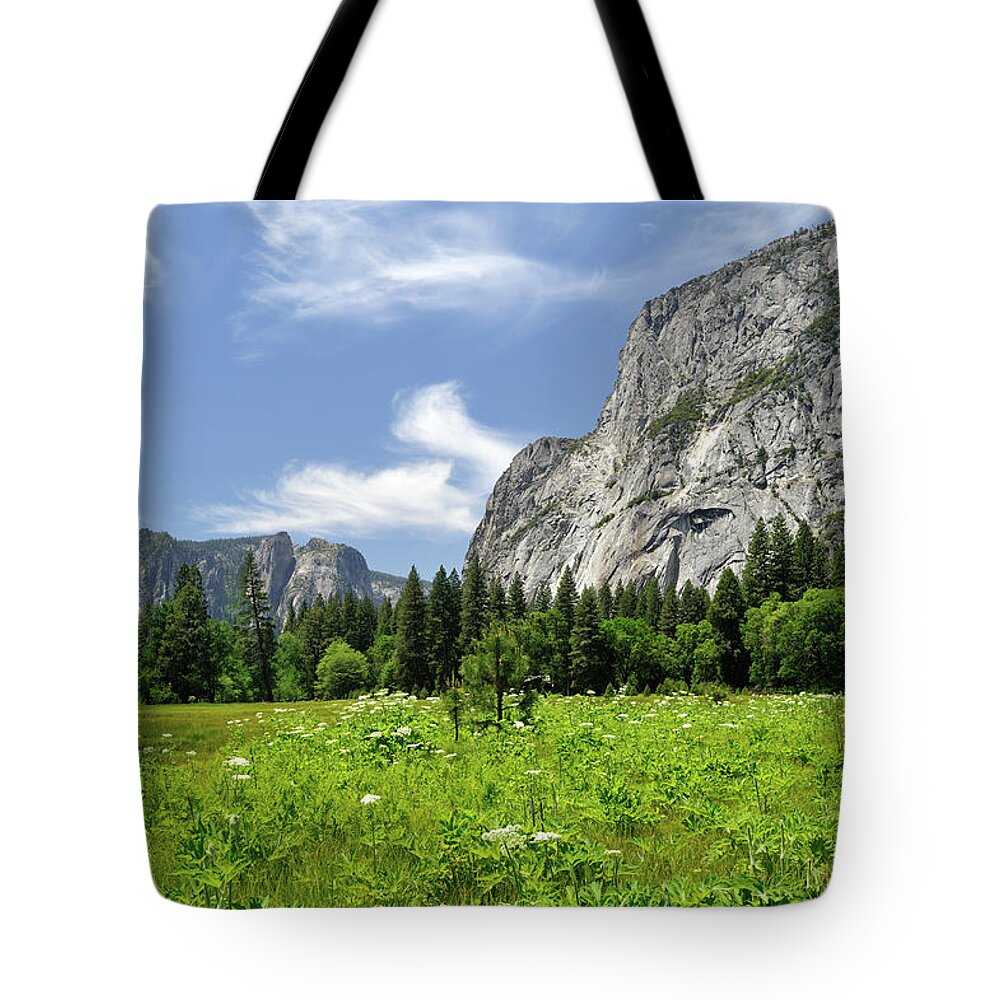 Scenics Tote Bag featuring the photograph Yosemite National Park, Usa #3 by Aimin Tang