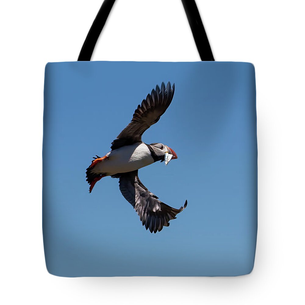 Puffin Tote Bag featuring the photograph Atlantic Puffin #4 by Kuni Photography