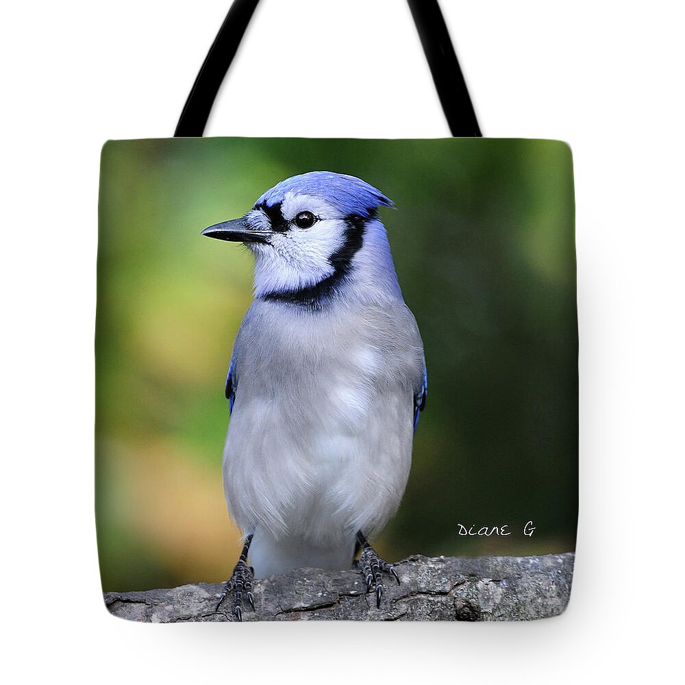 Blue Jay Tote Bag featuring the photograph Blue Jay #4 by Diane Giurco