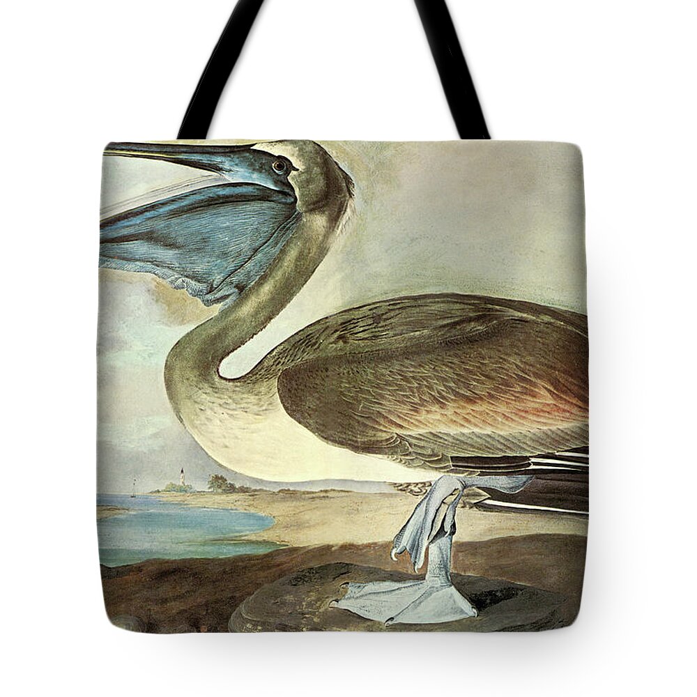 Ornithologist Tote Bag featuring the painting Brown Pelican #4 by John James Audubon