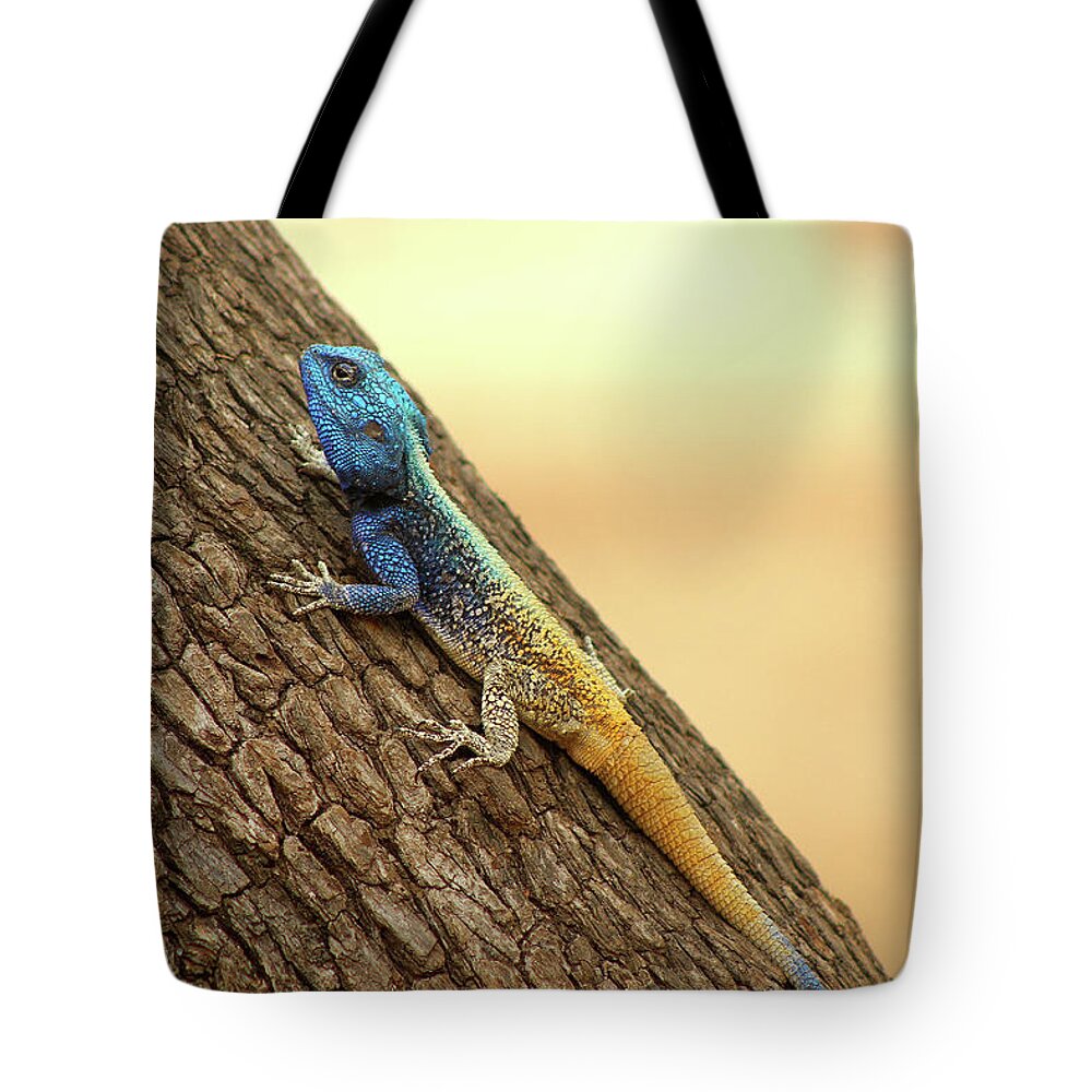  Tote Bag featuring the photograph 4 by Eric Pengelly