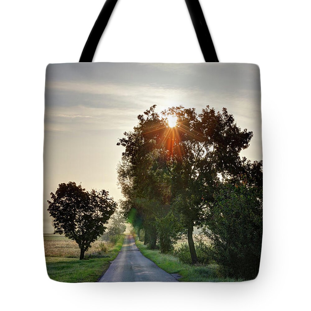 Grass Tote Bag featuring the photograph Germany, Bavaria, Upper Bavaria #4 by Westend61