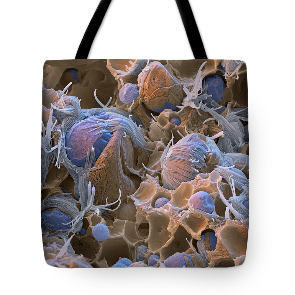 Chemistry Tote Bag featuring the photograph Polyacrylic Acid Sem by Meckes/ottawa