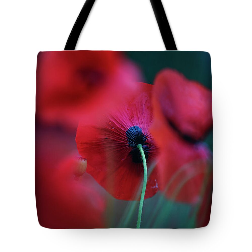 Poppy Tote Bag featuring the photograph Red Corn Poppy Flowers #4 by Nailia Schwarz