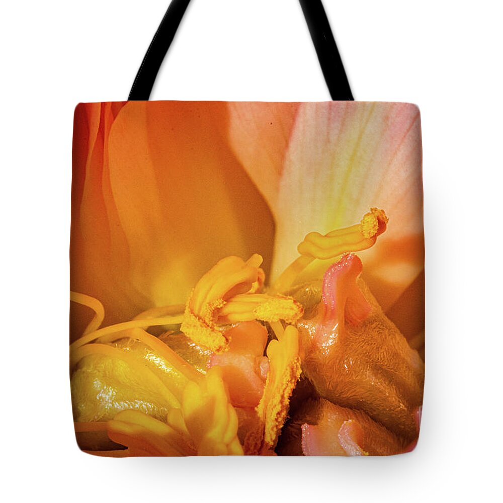 Sublime Peony Tote Bag featuring the painting Sublime Peony, Dijon, France, April by European School