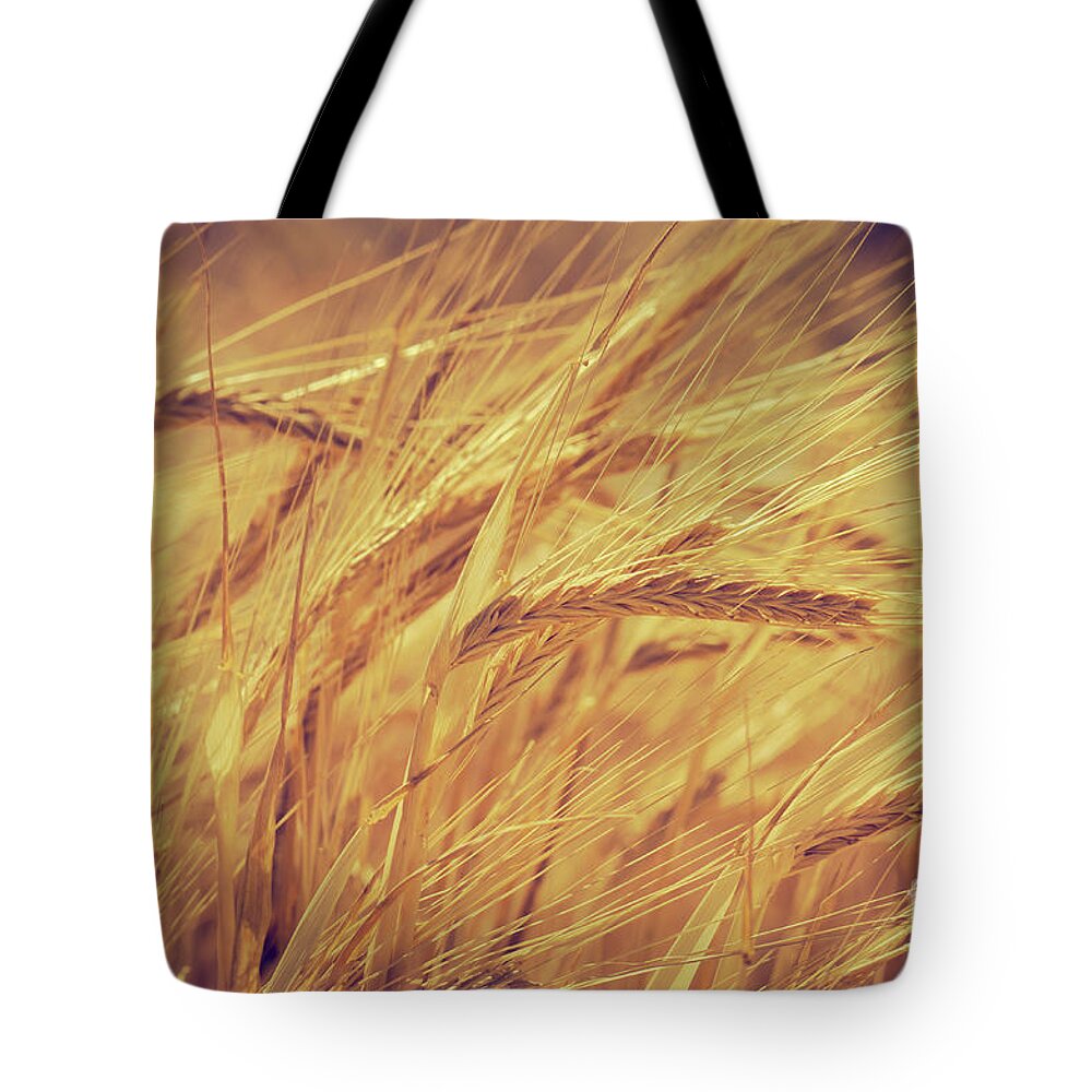 Wheat Tote Bag featuring the photograph Wheat #4 by Jelena Jovanovic