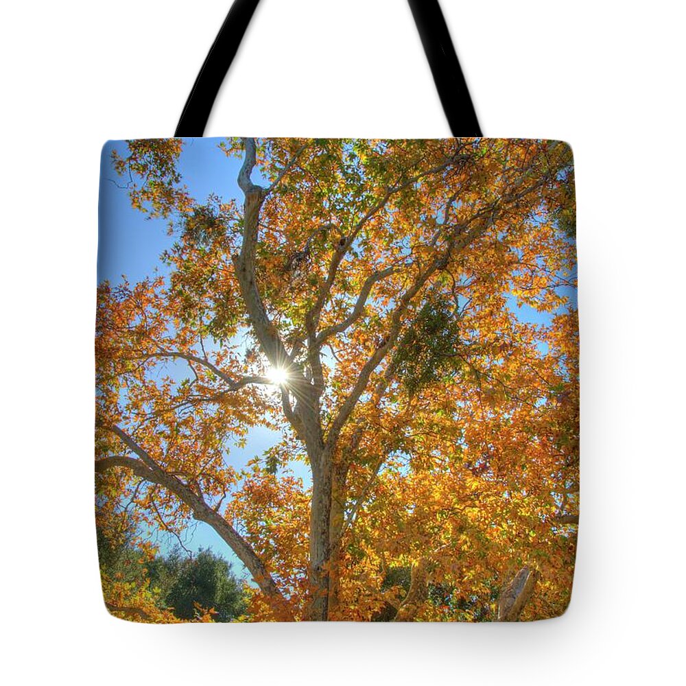 Fall Tote Bag featuring the photograph Fall #5 by Marc Bittan