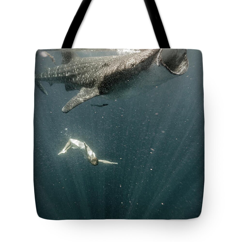 Underwater Tote Bag featuring the photograph Woman Swimming With Whale Shark #5 by Tyler Stableford