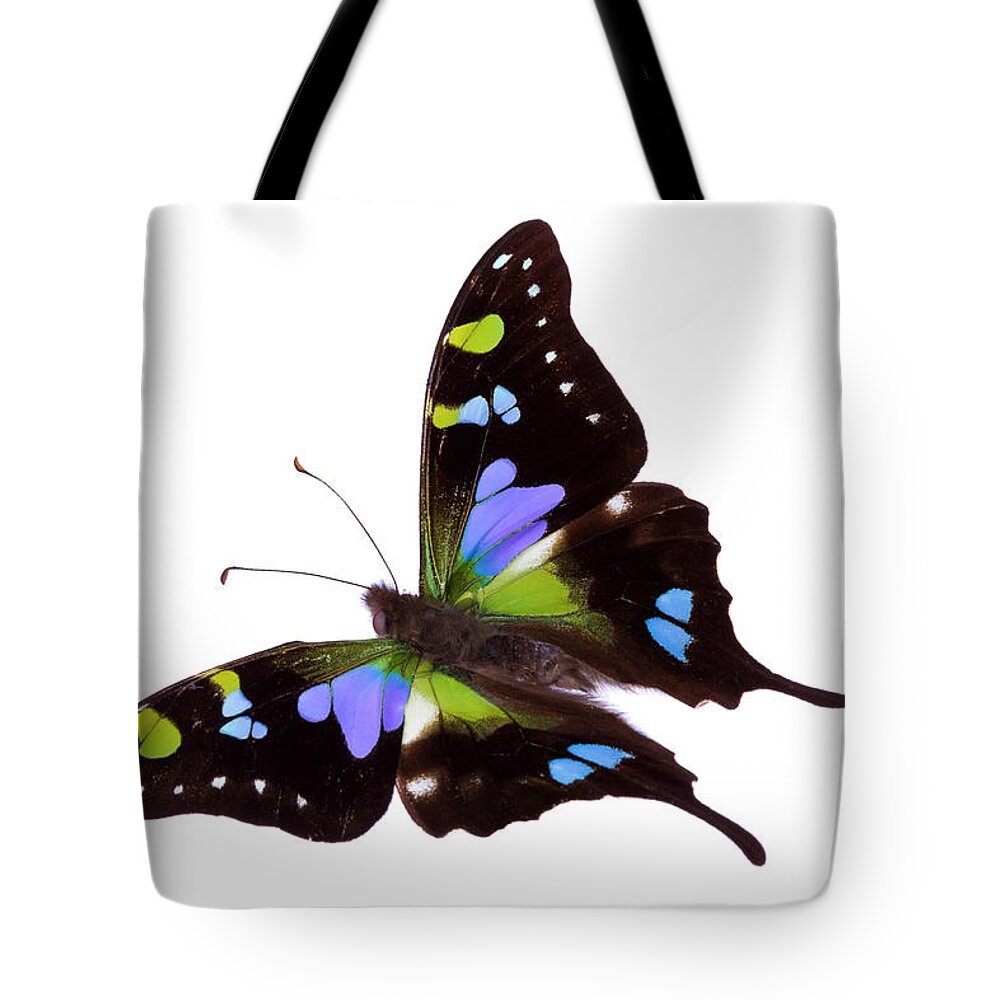 White Background Tote Bag featuring the photograph Butterfly #6 by Liliboas