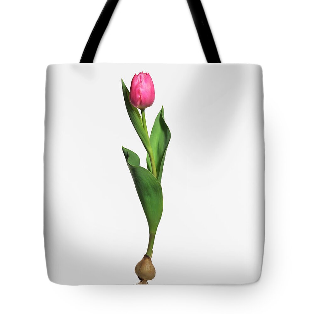 White Background Tote Bag featuring the photograph Form #7 by Kei Uesugi