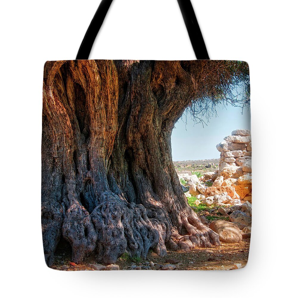 Old Olive Tree Tote Bag featuring the photograph Old olive trees #7 by Manolis Tsantakis