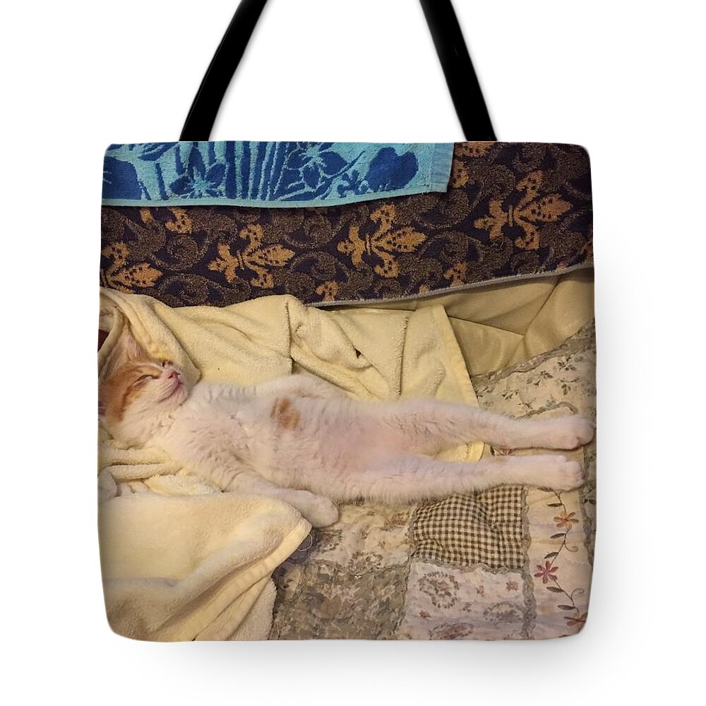 Tote Bag featuring the photograph Sleeping Cat #7 by Ok Mocha